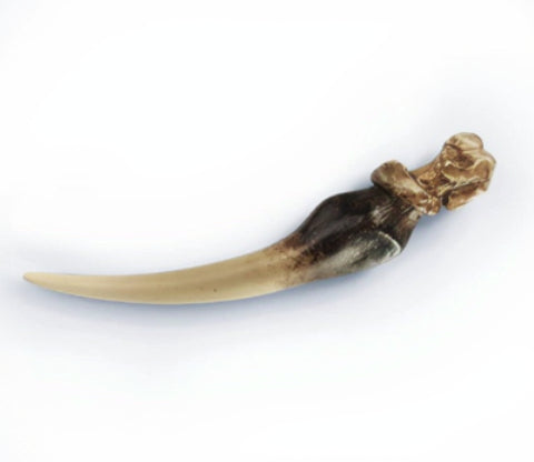 Dent de Basilic et Journal de Tom Jedusor Harry Potter – The Noble Collection